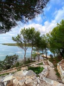 uitzicht op de oceaan vanaf een heuvel met bomen bij Family friendly house with a swimming pool Bilice, Krka - 20249 in Šibenik