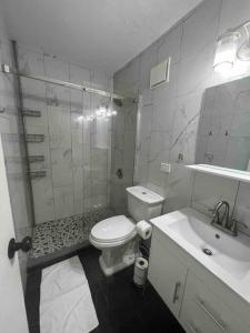 ein Bad mit einer Dusche, einem WC und einem Waschbecken in der Unterkunft Casa Rosado @ Villa Marina Fajardo Pool Yunque in Fajardo