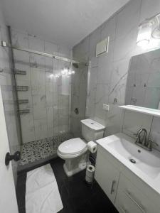 a bathroom with a shower and a toilet and a sink at Casa Rosado Villa Marina Fajardo Yunque Seven Seas in Fajardo