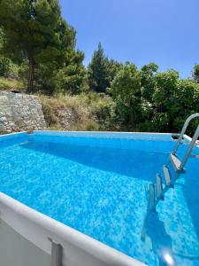 a swimming pool with blue water and trees at Apartment Nadia in Lokva Rogoznica