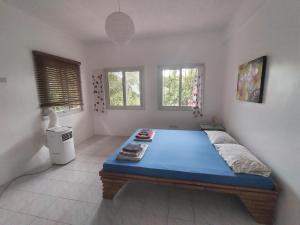 una camera con letto blu in una stanza con finestre di SPANISH VILLA Lonos ROMBLON a Agnay