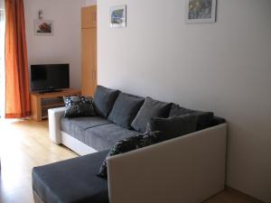 - un salon avec un canapé et une télévision dans l'établissement Apartma Jeglic, à Bohinj