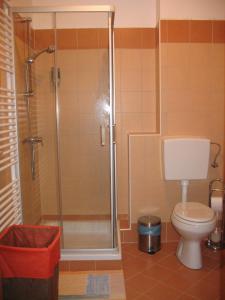 La salle de bains est pourvue d'une douche et de toilettes. dans l'établissement Apartma Jeglic, à Bohinj