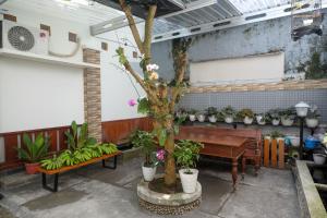 una stanza con pianoforte, albero e piante di RedDoorz Syariah near Kampus UNSOED Purwokerto a Banyumas