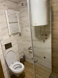 uma pequena casa de banho com um WC e uma janela em Apartman Iva Borovi em Divčibare