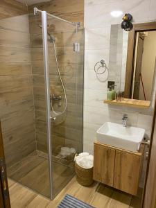 uma casa de banho com um chuveiro e um lavatório. em Apartman Iva Borovi em Divčibare