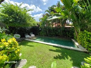 a small swimming pool in a yard with plants at Ocean Luxury Villas - Seminyak in Seminyak