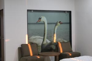 a picture of two swans in the water with candles at Flamingo Club and Resort Una 3 Km Away from Diu Check Post in Diu