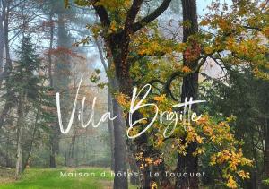 Un'immagine di una foresta con le parole conquistano la foresta di Villa Brigitte a Le Touquet-Paris-Plage