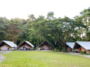 Příroda nedaleko luxury tent