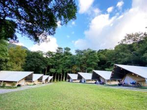 Příroda nedaleko luxury tent + 28 fotografií