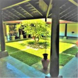 Zahrada ubytování Ardeen Villa - superb 3 bedroom beachfront for 6, BB, free pick up for 7 night stays arriving together, fully serviced, taxes included