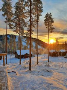 un campo nevado con casas y árboles con la puesta de sol en Stuga i Storklinten, en Harads