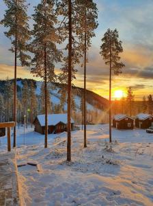 a snowy field with houses and trees with the sunset at Stuga i Storklinten in Harads