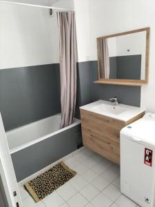a bathroom with a sink and a bath tub and a mirror at Très bel appartement proche parc des expositions et aéroport Roissy CDG in Villepinte