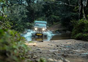 Příroda nedaleko rezortu