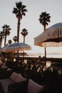 a beach with palm trees and chairs and umbrellas at Le Rose Thé in La Ciotat