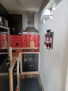 a kitchen with a stove and red tiles at Ferien-Appartement Vier Jahreszeiten in Freyung +22 photos