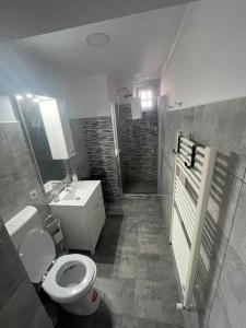 a bathroom with a toilet and a sink and a shower at Lady M Apartment in Sighişoara