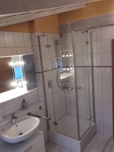 La salle de bains est pourvue d'une douche et d'un lavabo. dans l'établissement Ferienwohnung Hegau, à Hilzingen