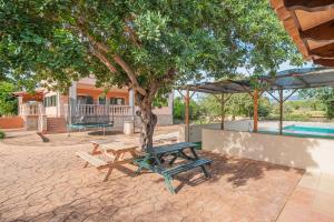 - une table de pique-nique et un arbre à côté de la piscine dans l'établissement Casa Estilo Mallorquín, à Marratxí 