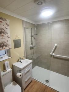 a bathroom with a shower and a toilet and a sink at The Lodge at Meadow Hope in Hereford