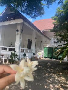 una persona sosteniendo una flor delante de una casa en Whitehouse cafe&Guesthouse en Ban Sa La