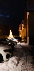 two cars parked on a snow covered street at night at Apartmán SALD Mýto in Mýto pod Ďumbierom