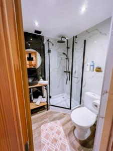 a bathroom with a white toilet and a shower at Domek Góralski zakątek Czerwienne in Czerwienne