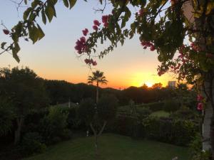 Zdjęcie z galerii obiektu Playa Mijas w mieście Mijas