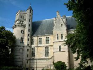 Saint-Florent-sur-Cher的住宿－Les Oiseaux chambre d'hôtes，一座有塔的老建筑