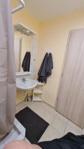 a bathroom with a sink and a mirror at Lucsony Apartman in Mosonmagyaróvár