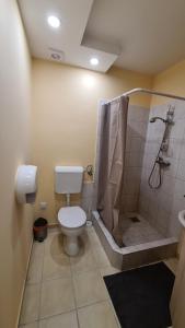 a bathroom with a toilet and a shower at Lucsony Apartman in Mosonmagyaróvár