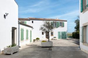 a white building with a tree in a courtyard at Appartement Neptune in Saint-Martin-de-Ré