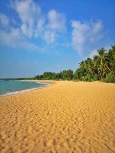 uma praia arenosa com palmeiras e o oceano em Sweet Pea Homestay em Balapitiya