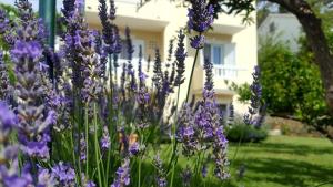 Vonkajšia záhrada v ubytovaní Apartment in Banjol with balcony, air conditioning, WiFi, dishwasher 4888-1