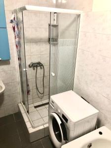 a small bathroom with a shower and a toilet at Large apartment with garage and terrace in Budapest