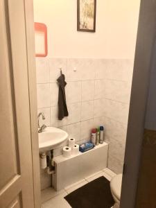 Fotografia z galérie ubytovania Large apartment with garage and terrace v Budapešti
