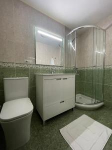 y baño con aseo, ducha y lavamanos. en Apartamento corredoira, en Monforte de Lemos