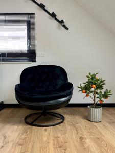 Posedenie v ubytovaní Apartamenty Maxa Czornyja