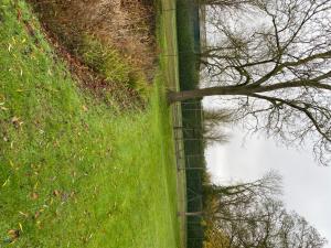 大哈林貝利的住宿－Retreats at Stansted Manor，倒在草地上的树