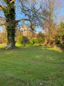 a park with a tree and a bench in the grass at Retreats at Stansted Manor in Hallingbury