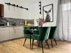 Kuchyňa alebo kuchynka v ubytovaní Apartamenty Maxa Czornyja