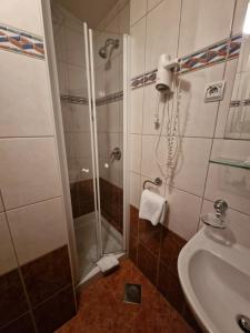 Phòng tắm tại Hotel Razgorsek