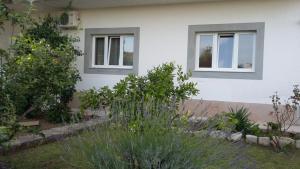 Zahrada ubytování Apartment in Vodice with terrace, air conditioning, W-LAN, washing machine 3671-6