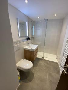 a bathroom with a toilet and a sink and a shower at Ferienwohnung Pitzer in Missen-Wilhams