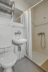 een badkamer met een toilet, een wastafel en een douche bij Agroturystyka nad jeziorem Sopień in Brzozie