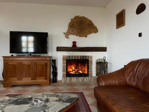 - un salon avec un canapé et une cheminée dans l'établissement Dorono House, à Balatonudvari