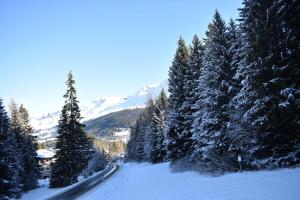 una carretera cubierta de nieve con árboles y una montaña en Ursina (301 Sh), en Sporz