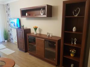 a room with a book shelf and a desk at Jókai Apartman Szarvas in Szarvas